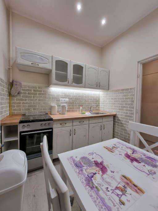 Vintage Apartman In City Center Miskolc Esterno foto
