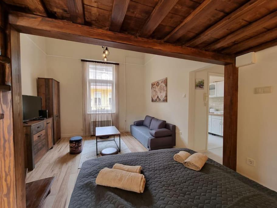 Vintage Apartman In City Center Miskolc Esterno foto
