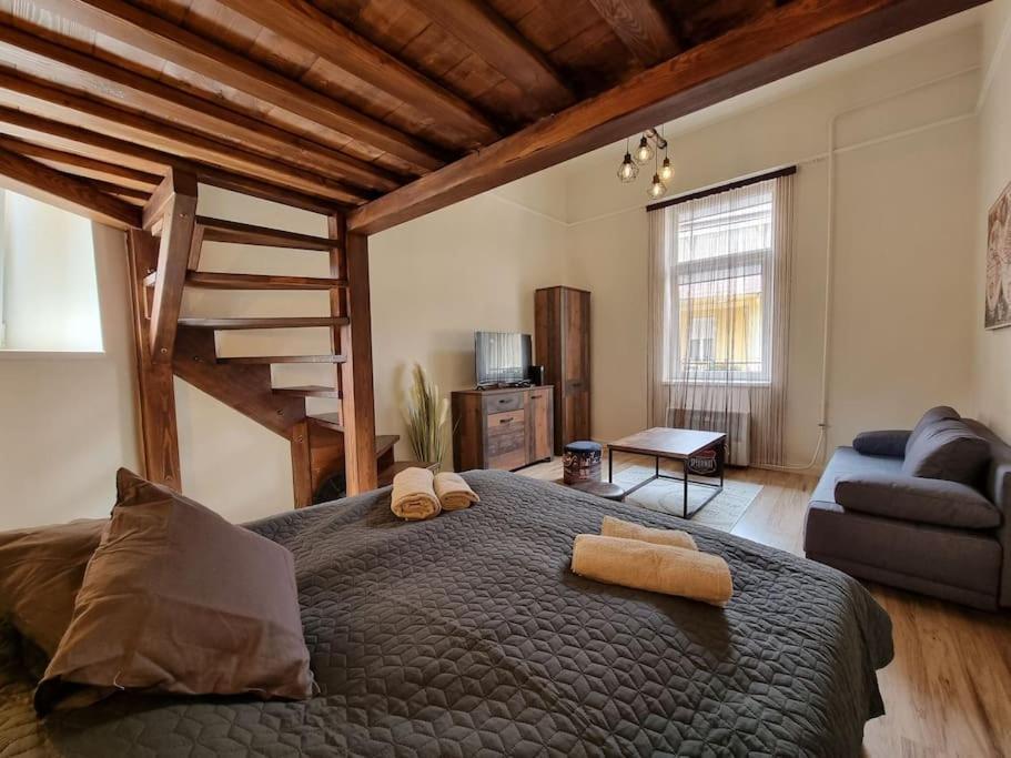 Vintage Apartman In City Center Miskolc Esterno foto
