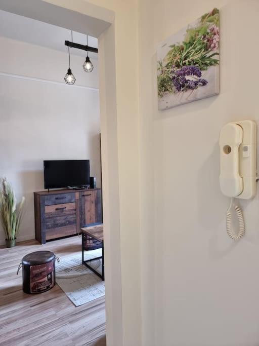 Vintage Apartman In City Center Miskolc Esterno foto
