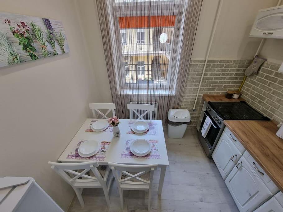 Vintage Apartman In City Center Miskolc Esterno foto
